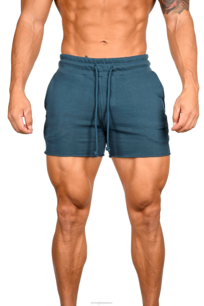 YoungLA 102 pantalones cortos de rizo francés de culturismo D82X654 ropa verde azulado hombres