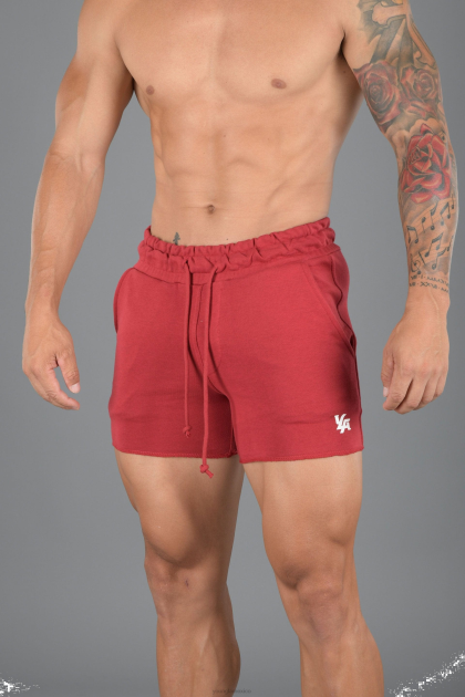 YoungLA 102 pantalones cortos de rizo francés de culturismo D82X659 ropa rojo hombres